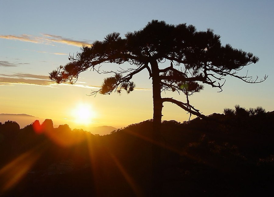 黃山日出