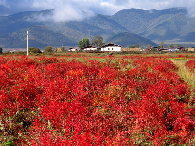 香格里拉美景